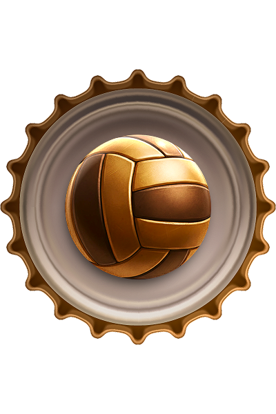 Place single bet on Volleyball